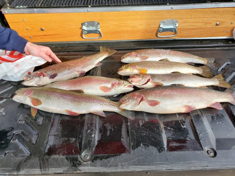 Twin Buttes 12/8/19 West Laramie Fly Store